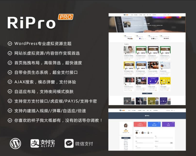 WordPress主題RiPro無限制版-資源網站
