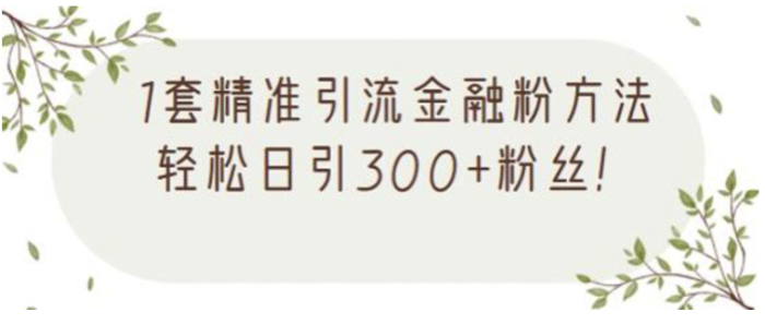 金融精準(zhǔn)引流方法視頻課程-資源網(wǎng)站