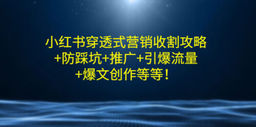 小紅書穿透式營銷收割策略-防踩坑-推廣-引爆流量-爆款打造等等-資源網站