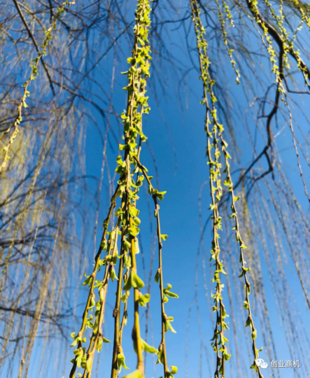 農村悶聲賺錢的大商機，加工1噸掙3700元，每天出1-3噸，值得借鑒！-資源網站