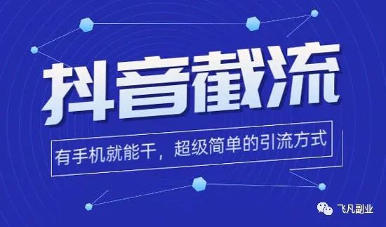 抖音精準(zhǔn)截流玩法，4個人一個月變現(xiàn)10萬-資源網(wǎng)站