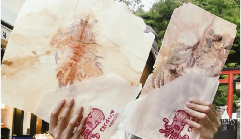 揭秘新型日式小吃,5元成本卻能賣到30元,年賺20萬!-資源網站