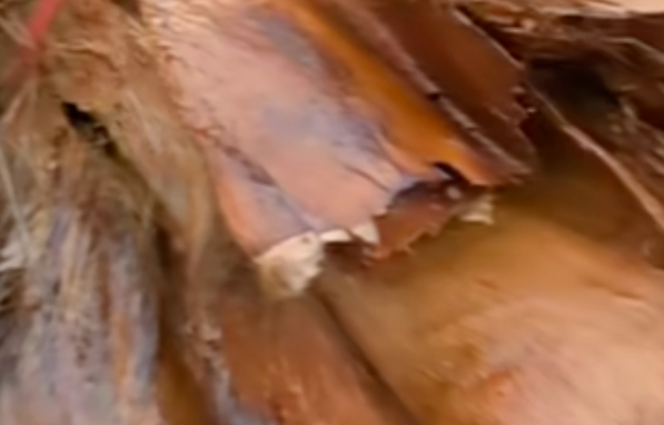 圖片[2]-輕松賺錢，2-3個月年入20萬！市場需求大、競爭小-資源網站