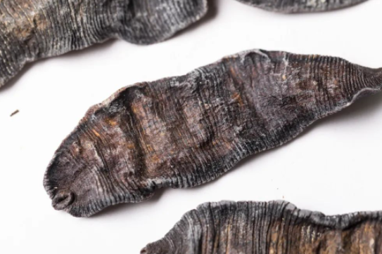 圖片[2]-10萬成本，一年50萬利潤，農(nóng)村養(yǎng)殖致富新選擇！