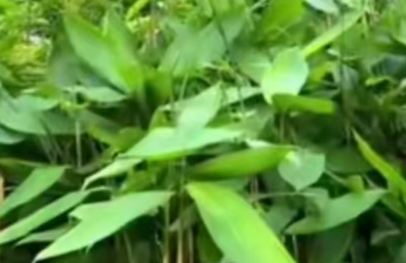 輕松賺錢，2-3個月年入20萬！市場需求大、競爭小-資源網站