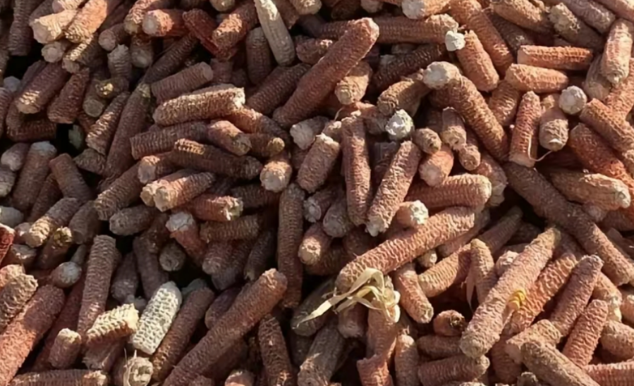 圖片[1]-幾百塊錢在農村也能年入40萬！9個月種植生意教你如何做到