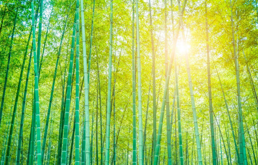 圖片[1]-1.5萬投資，年賺20萬！農(nóng)村小型加工廠如何實現(xiàn)？-資源網(wǎng)站