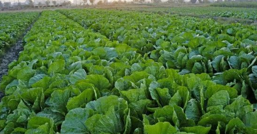 圖片[4]-40歲后月入2-6萬，這3個行業能讓你告別打工！