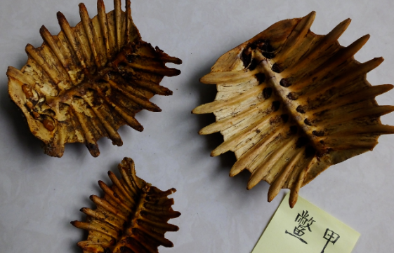 小本生意大賺錢:1斤利潤20多,一天收購50-80斤,不容錯過!-資源網站