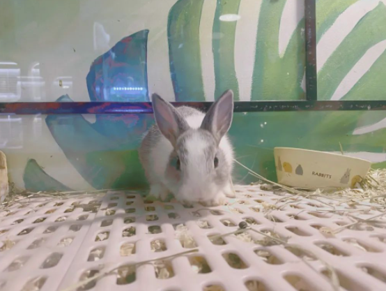 圖片[2]-1500元入手-5個月輕松賺20萬！新興行業商機值得關注！