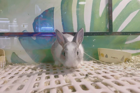 圖片[4]-1500元入手-5個月輕松賺20萬！新興行業商機值得關注！