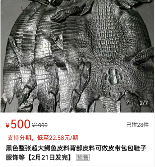 圖片[2]-驚喜！470元投資，一年后收獲1700元-農村養殖新項目火熱進行中！