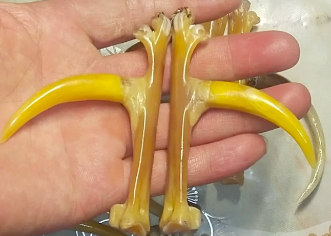 揭秘一項投資不到5000的暴利生意_適合你嗎？-資源網站