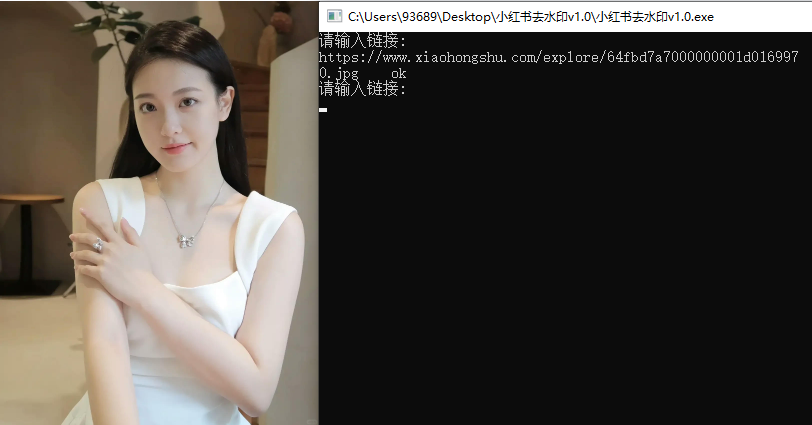 小紅書去水印軟件_rust開源