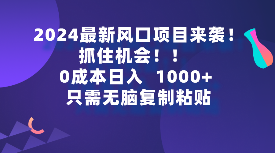 圖片[1]-2024最新風口項目_抓住機會_只需無腦復制-資源網站