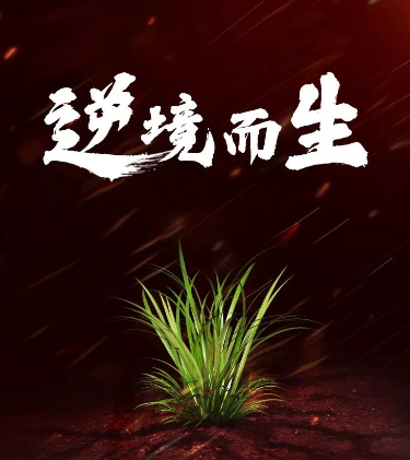 逆境中的生存法則：如何在無助時刻自救