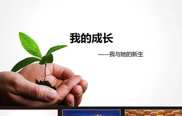 社交媒體與現實：我們對成功的誤解-資源網站