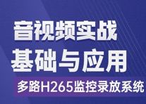 FFmpeg基礎到工程 基于多路H265監控錄放開發-資源網站