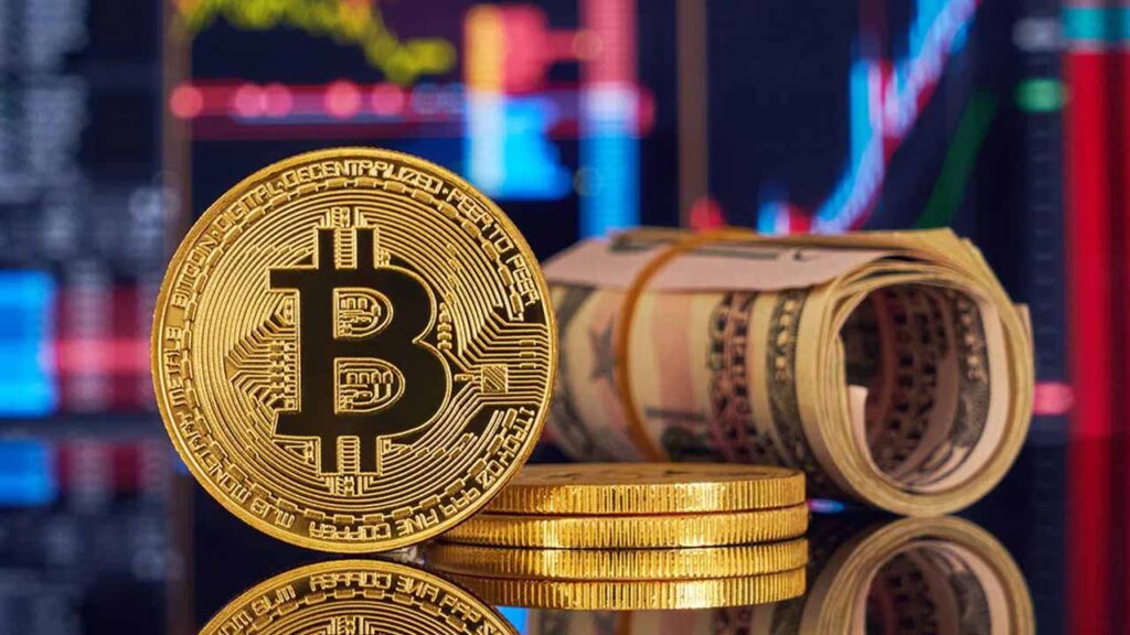 博森智能量化機器人：2024年如何在幣圈搞大錢-資源網站
