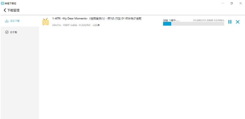 跨平臺B站下載神器：DownKyiCore 1.0.11-資源網站