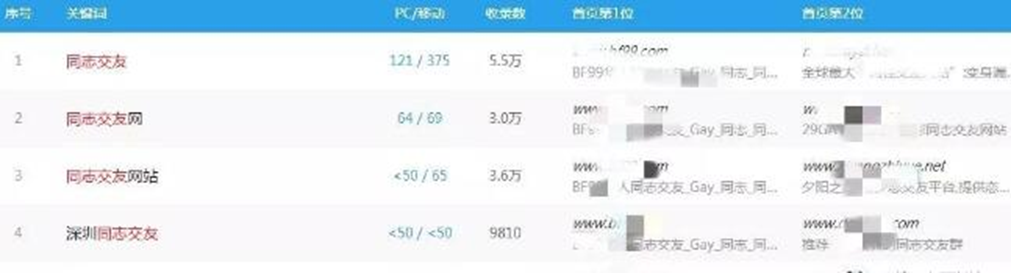 圖片[6]-撈偏門:揭秘同志交友暴利項目的盈利模式