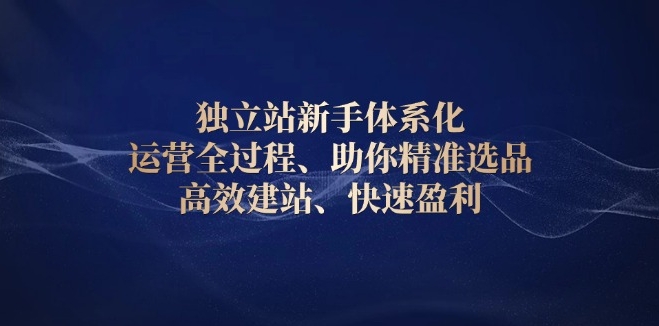 圖片[1]-獨立站新手指南_精準選品_極速建站與高效盈利技巧-資源網站