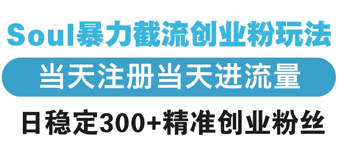 圖片[1]-Soul暴力截流_極速引流_日均精準創業粉絲300+-資源網站