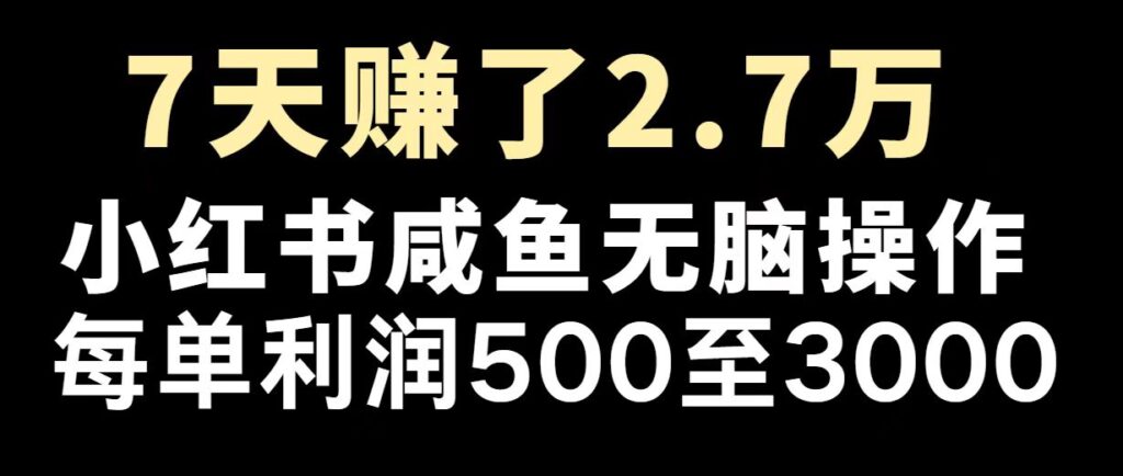 圖片[1]-2025年最具潛力項目_逆勢崛起_賺取百萬