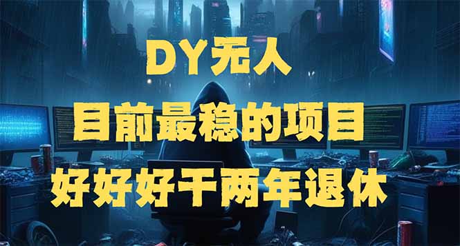 圖片[1]-DY無人_最穩投資項目：邊旅游邊賺錢_兩年實現財務自由