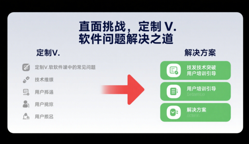 面對挑戰：解決定制V軟件實施過程中的問題-資源網站