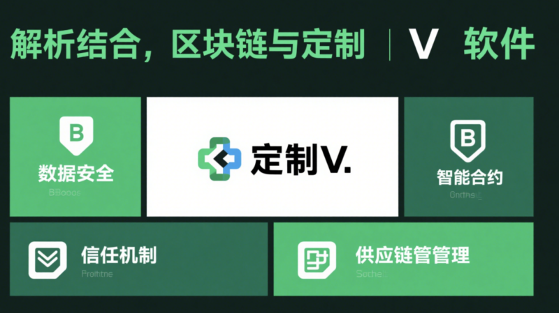 最新技術動態：區塊鏈與定制V軟件的結合-資源網站