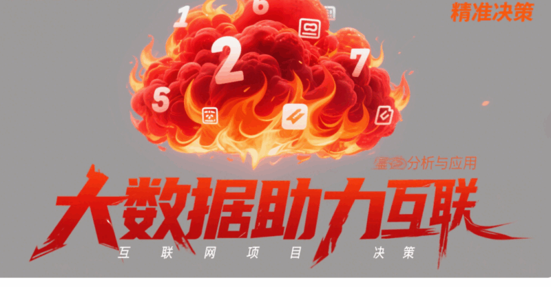 大數據助力互聯網項目精準決策：案例分析與應用-資源網站