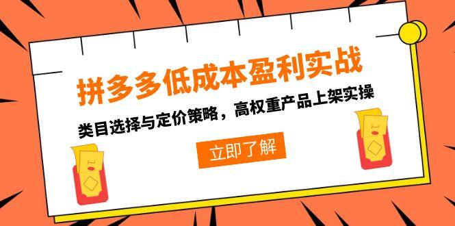 拼多多低成本盈利攻略：類目選擇與定價策略全解析_高權重產品上架實戰技巧