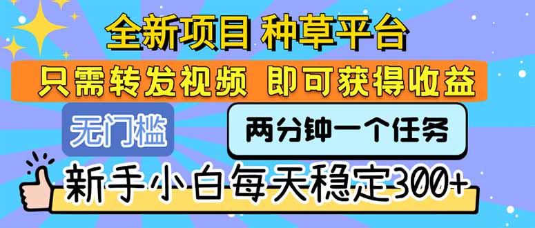 全新賺錢項(xiàng)目_轉(zhuǎn)發(fā)任務(wù)視頻_新手每天賺300+_輕松入門無壓力-資源網(wǎng)站
