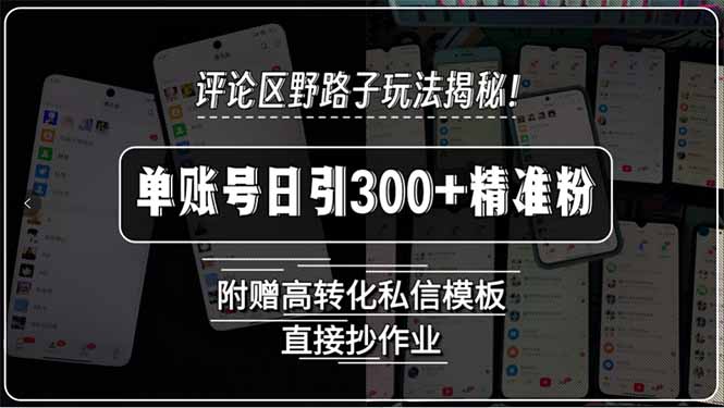 評論區野路子玩法_單賬號精準吸粉300+_高轉化私信模板