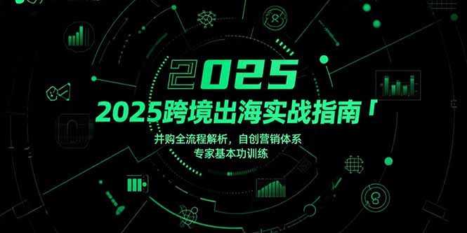 2025跨境出海攻略:并購全流程深度解析+自創營銷體系實戰與專家基礎訓練-資源網站