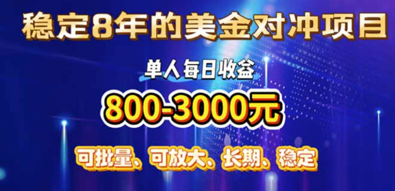 年賺百萬的美金對沖創業項目-單人每天賺取800-3000元-小眾暴利行業-資源網站