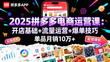 2025電商新風口-拼多多單品爆單實戰課-開啟財富之路-資源網站