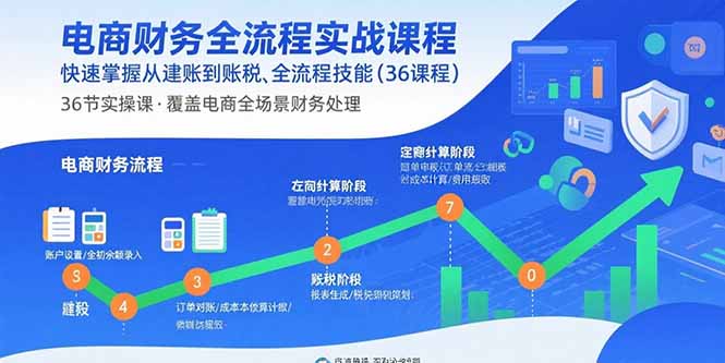 電商會(huì)計(jì)全攻略：36節(jié)課掌握財(cái)務(wù)與稅務(wù)實(shí)操-資源網(wǎng)站