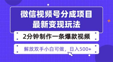 掌握視頻號繪畫技巧-日賺500+不再是夢-資源網站