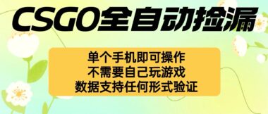 CSGO新玩法:全自動撿漏_一部手機躺賺不停-資源網站