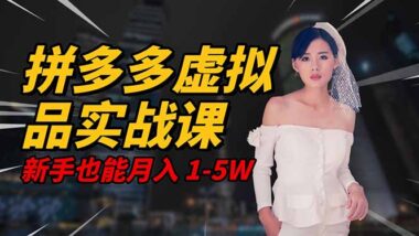 2025穩賺秘籍:拼多多虛擬電商-小白輕松月入5W