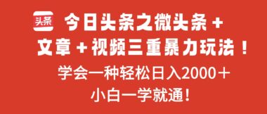今日頭條微頭條+文章+視頻玩法-助你快速日入2000+-資源網站