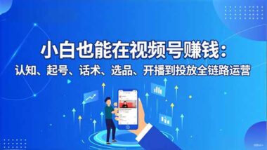 視頻號新手逆襲攻略:一站式掌握運營與投放技巧-資源網站